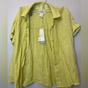 C&C California Women's Light Green Button Down Shirt